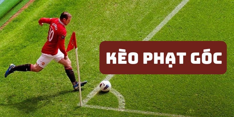 Các hình thức đặt cược vào kèo góc nhà cái online