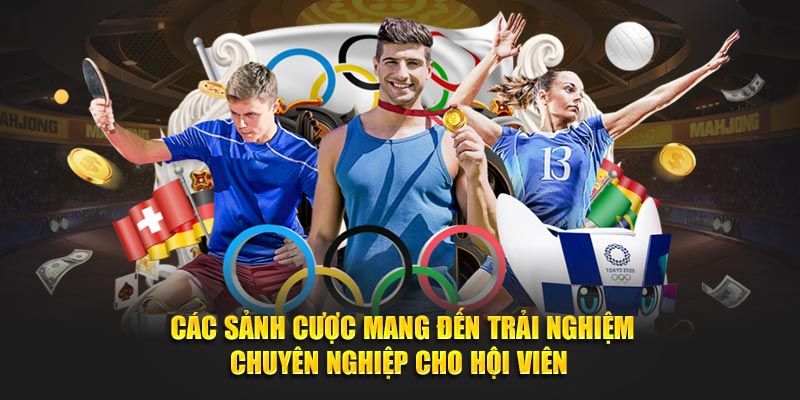 Các sảnh cược mang đến trải nghiệm chuyên nghiệp cho hội viên